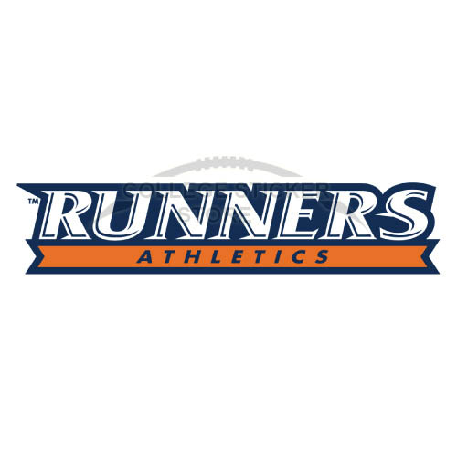Diy Texas SA Roadrunners Iron-on Transfers (Wall Stickers)NO.6545